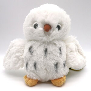 tbtB[YS tNE ʂ  ӂ낤 ǂԂ  Mtg v[g a j c q LbY CeA lC 킢 Mtg