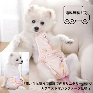 yl܂Iz炨܂ŕیłTj^[pcEGXg}WbNe[vdlO[sNSMLXLTybglbNS{^pi}i[pcAEgbgi