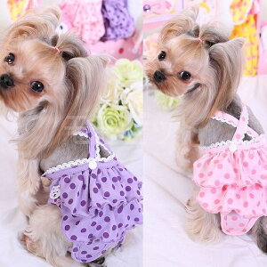 ܂ŃJo[Tj^[pcȒP\sNp[vSMLXLȂTybg{^}WbNe[v߃AEgbgi