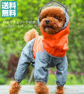 【犬用レインコート】フルカバーのドッグウェア！！梅雨時期のお散歩におすすめのペット服は？