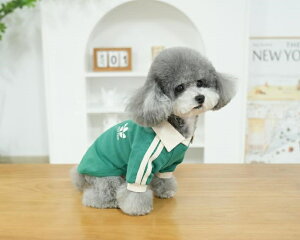 ̂鐶ñ|VcʋCƐLklCr[O[SMLXLXXLgbvXW[WX|[cEFAhbOEFAtďH^^pAEgbgi