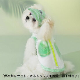【春夏新作】保冷剤をセットできるトップス★可愛い帽子付き♪オレンジグリーンSMLXLXXLトップスノースリーブタンクトップドッグウェアペットウェア犬服犬の服春夏秋物小型犬中型犬用ウォーターメロンキウイピンクメッシュキャップハットアウトレット価格