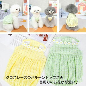 yl܂IzNX[X̃o[gbvX̂ԂN[CG[~gO[SMLXLXXLhbOEFAtďHL~\[m[X[uAEgbg