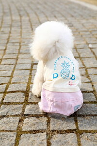 yDOGYPOOuhzJ[fĵȂpCibvvgCG[pcsNpcSMLXL^pJo[I[p[X{^Ȃ