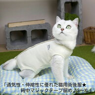 【新商品】通気性・伸縮性に優れた猫用術後服★背中マジックテープ留め♪SMLXLブルーベージュピンクペッ…