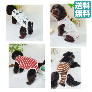 yViIzDGSñTj^[EFAg₷wJ{[_[bh{[_[uEڂĂSMLXLybgEFA^pp[XȂJo[I[p