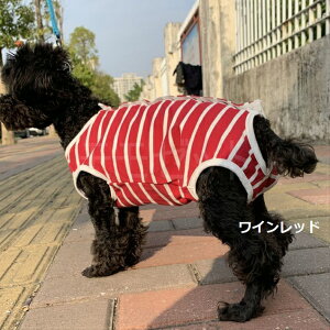 yOZ[iēׁI10/30zm[X[u̔Tj^[EFAg₷wJ􃏃CbhX[gO[SMLXLybgEFA^pp[XȂJo[I[p