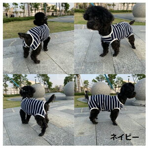 yOZ[iēׁI7/18zLk̂p㕞g₷w{^JlCr[uEO[h[icpCSMLXLybgEFALp胍p[XȂJo[I[