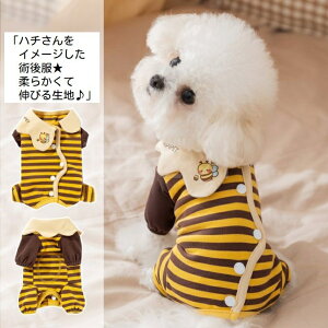 ylCɂēׁI11/17zn`C[Wp㕞_炩ĐLт鐶nSMLXLXXLybgEFAhbOEFALpp[XȂJo[I[GUxXJ[̑pi