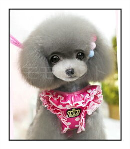 yOZ[iēׁIztƃhbg̃n[lX[hZbgNEhJubNsNXSSMLNbVbV^b`^^փAEgbgi