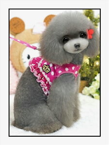 yOZ[iēׁI7/18zXJ[gƃhbg̃n[lX[hZbgNEhJubNsNXSSSML^փNbVbV^b`}WbNe[v߃tA