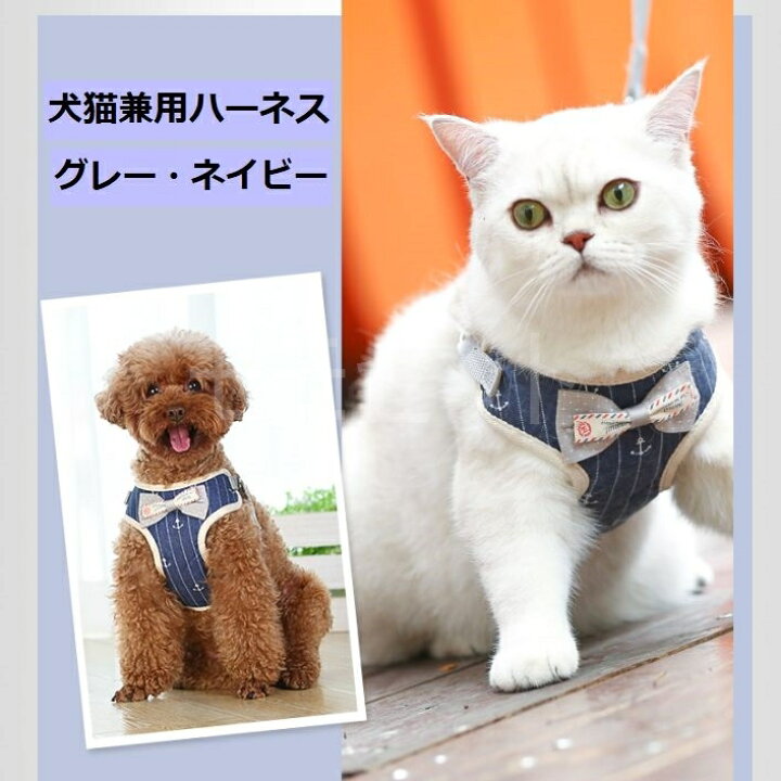楽天市場】【値下げしました！】猫用マリンハーネスリードセット☆内側 