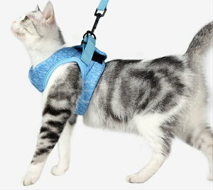 yViIzӂӂŌyLpn[lX[hZbgS2_߁SMLybgp֋ă}WbNe[v^pAEgbgi