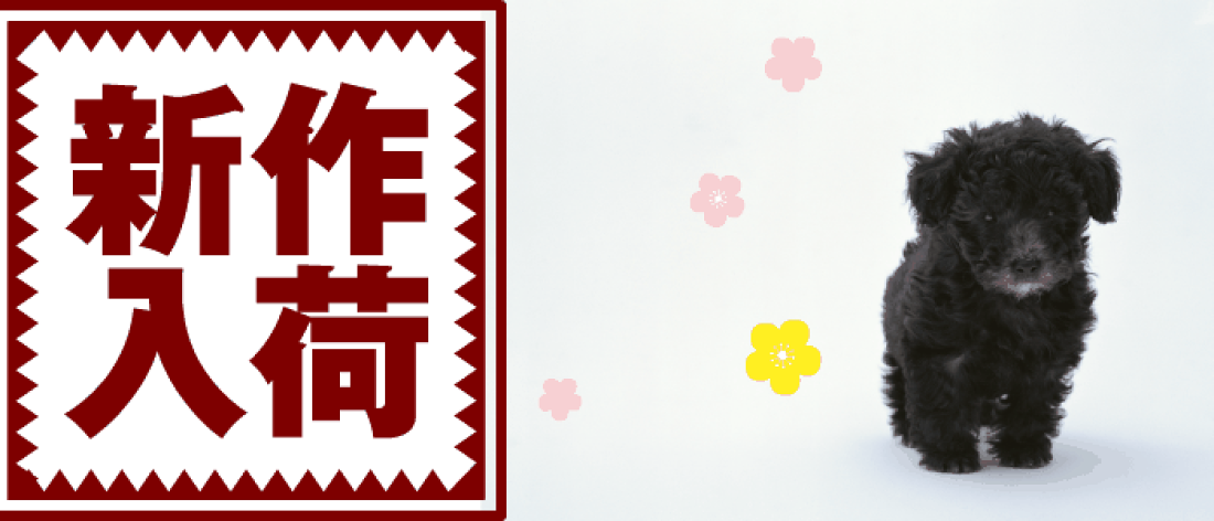 8/9(金)12:00予約&発売開始】モンチッチのおともだち＆ギンガム