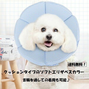 NbV^Cṽ\tgGUxXJ[Lpu[sNSML^Lppirߑrߖh~PAObY`FbNAEgbgi