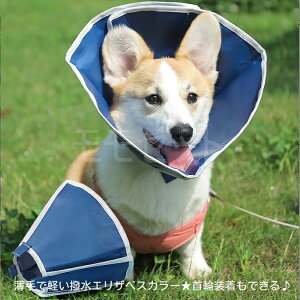 ŌyGUxXJ[֑łSML^LpGJpirߑrߖh~畆apPAAEgbgi