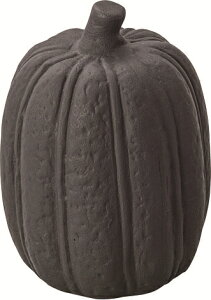 t[cIuWF IuWF ڂ   u CeAG  ʕ   A[g  RpNg rO 킢 RNV