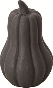 t[cIuWF IuWF ڂ   u CeAG  ʕ   A[g  RpNg rO 킢 RNV