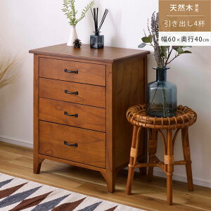 ~j`FXg `FXg 60cm [ [Ƌ AeB[N Be[W