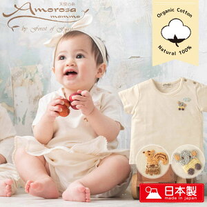 y{zI[KjbNRbg  TVc@Vv@xr[@xr[TVc@gbvX@xr[@Rbg100%@DԁE肩 hJ@V Ԃ TCY80cm oYj 