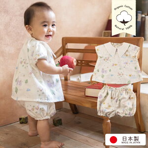 ĕf I[KjbNRbgi xr[pZbgAbv { ݂X~g̐X WK[[ a Be V Ԃ xr[ oYj op