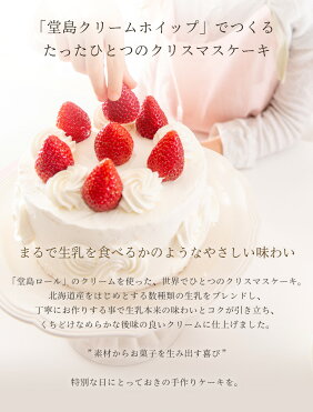 クリスマス クリスマスケーキキット クリスマスケーキ ホームメイド 堂島ロール モンシェール お取り寄せ スイーツ 手作りキット デコレーションケーキ 手作り ホールケーキ キット ケーキ作り こども 巣ごもり Room 欲しい に出会える
