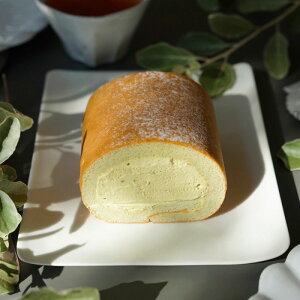 yEzsX^`I[ n[tyⓀz[ v[g XC[c Mtg mَq VF[ [P[L j 񂹃XC[c َq Mtg َq 