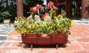 労Ӊi {[gv^[(S) WC-110 45cm×30cm×19cm 4962024219737 ws iBsEsEԕiLZEsA1l1