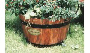 �y�����i�E�労�Ӊ��i �z���E���h�v�����^�[�E�[�^ WC�|4D ��53cm×��43×H48cm 4962024266014