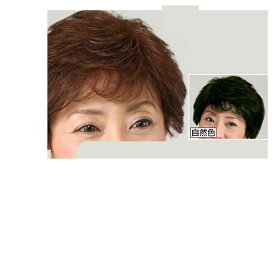 総手植え カールおしゃれかつら【返品キャンセル不可】ヘアウィッグ　ヘア　　総手植えカールおしゃれかつら送料無料ポイント欠品終了の場合は連絡します