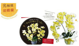 磁器の鉢に入った胡蝶蘭 光触媒 金運の黄色人工観葉植物 部屋飾り 縁起 脱臭 光触媒