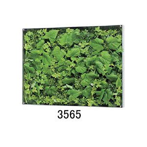 労Ӊi ^BOXt[ EH[O[ 3565or3567 iBsEsEԕiLZEs ϗtA Ǌ| fBXvC  CeA G ObY ^BOXt[