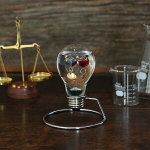 労Ӊi Fun Science(t@ETCGX) KXt[gxvd 333-208 (346V[Y) iBsEsEԕiLZEs   X^CbV fUC 