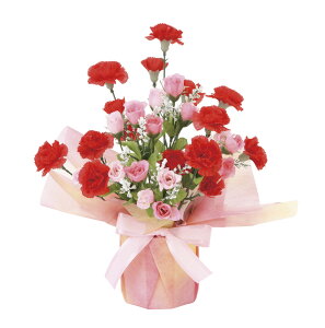 yiE労Ӊi zG}lHA ̊y 2018 J[l[VM 860A30 W27×D22×H34cmyʓrꍇEbsO͗L(s̏ꍇ)z