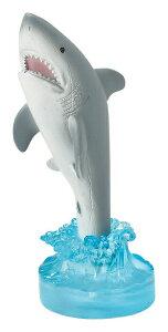 yizy&X^h zIWU/WxCU/CJ/yM/`AiS SR-5781/SR-5782/SR-5783/SR-5784/SR-5785 2021t IWiJ^O 259V[YywViz