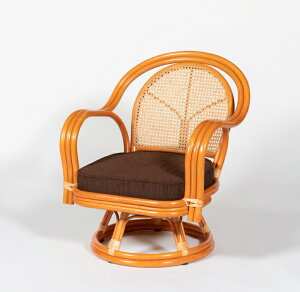 yiz^]֎q ~h^Cv RCH15 100 57×60×68cmywVizCeA Ƌ ֎q CX `FA t@j`[