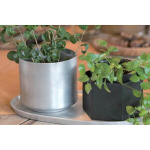 yizwLTS|bg W10.5×D9.5×H7 ubN/Vo[ 63666/63667 POSH LIVING 2022 Collection GREEN 291V[YywVizCeA ϗtA  Aؔ v^[