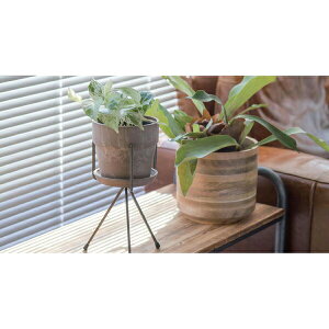 yizA[ovc|bg \bh 13.5×H12.5 `R[/~N/Vi//u[x[/ZT~/Z[W/Lbg/P[ POSH LIVING 2022 Collection GREEN 291V[YywV