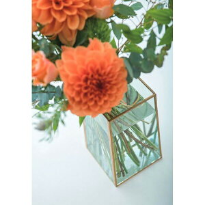 yizt[t[x[X \bh 22585 W14.5×D14×H22 POSH LIVING 2022 Collection GREEN 291V[YywVizCeA CeA u ԕr  }