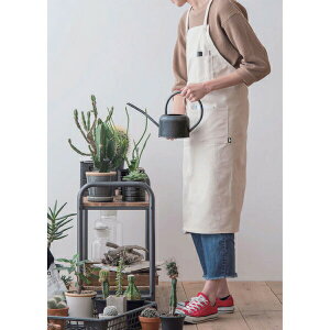 yiz[NGv W80×H90 i`/ubN/x[W/J[L 53228/53229/53230/53231 POSH LIVING 2022 Collection GREEN 291V[YywVizK[f K[fjO K[fEFA K[f