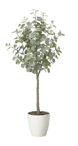 yiz[Jc[1.65 2425A320 W60×D55×H165cm G}lHA ̊y 2024ysizCeA lHϗtA A[gt[ Mtg 蕨 