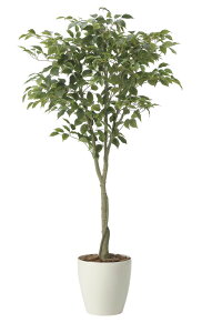 �y�����i�z�t�B�J�X�c���[1.65 2435A290 W85×D80×H165cm ���G�}�l�H�A�� ���̊y�� 2024�y�����s�i�z�C���e���A �l�H�ϗt�A�� �A�[�g�t�����[ �M�t�g ���蕨 ��