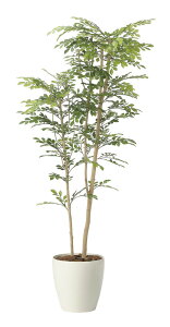 �y�����i�z�c�[�g���g�l���R1.6 2442A380 W73×D50×H160cm ���G�}�l�H�A�� ���̊y�� 2024�y�����s�i�z�C���e���A �l�H�ϗt�A�� �A�[�g�t�����[ �M�t�g ���蕨 ��