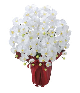 �y�����i�z�G���K���g�Ӓ���7�{��W 2445A100 W53×D40×H68cm ���G�}�l�H�A�� ���̊y�� 2024�y�����s�i�z�C���e���A �l�H�ϗt�A�� �A�[�g�t�����[ �M�t�g ���蕨 ��