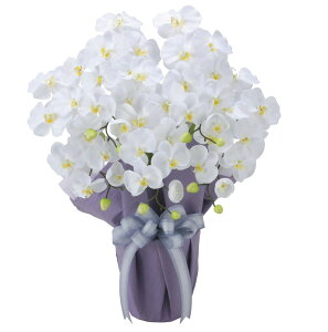 yizӒ 5{W 2464A80 W50×D35×H64cm G}lHA ̊y 2024ysizCeA lHϗtA A[gt[ Mtg 蕨 