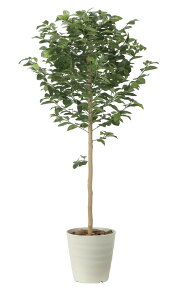 yizc[1.35 2480A250 W70×D60×H135cm G}lHA ̊y 2024ysizCeA lHϗtA A[gt[ Mtg 蕨 