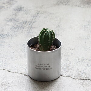 yiz\bhA~i|bgJo[ STCY 982460005 80×h80mm POST GENERAL ISSUE010ywViz K[f CeA Aؔ Jo[