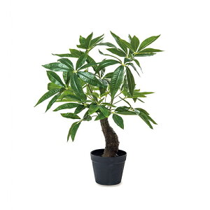 �y�����i�z�p�L�� 81128 H65 �|�b�g�T�C�Y��15×H13 POSH LIVING Collection 2025�y�w���V���i�z�C���e���A �C���e���A���� �l�H�ϗt�A�� �t�F�C�N�O���[��