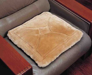 �y�����i�E�労�Ӊ��i �z���[�g�� �N�b�V���� KC145�i�p�^2���g�j��45×45cm �x�[�W��/�O���[