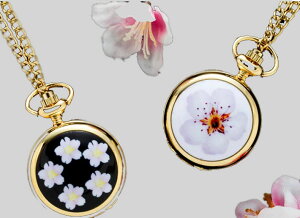 �a�̑��� �� �������v�a�� �������v �� �y���_���g�ɂ�